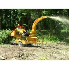 Измельчитель веток Rayco RC 6DV в Брянске