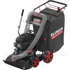 Пылесос садовый бензиновый Elitech HD GV 2958WTS (E1608.008.00) в Брянске