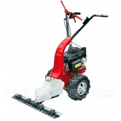 Бензиновая сенокосилка Eurosystems Minieffe 502 RM B&S 625EXi в Брянске