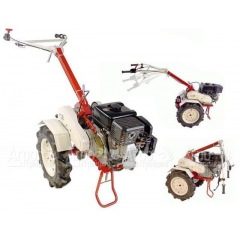 Мотоблок Фаворит МБ с двигателем Robin-Subaru EX21D 7,0 л.с. (Фрезы в комплекте) в Брянске