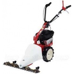 Бензиновая сенокосилка Eurosystems Bilama M210 B&S 625EXi в Брянске
