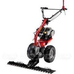 Бензиновая сенокосилка Eurosystems P-70 EVO B&S 850E Series в Брянске