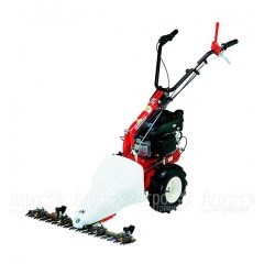 Бензиновая сенокосилка Eurosystems P55 Honda в Брянске