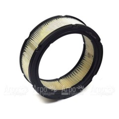 Воздушный фильтр Briggs&#38;Stratton 00002 в Брянске