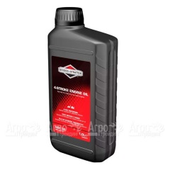 Масло Briggs&#38;Stratton SAE-30 1 л для 4-х тактных двигателей в Брянске