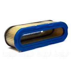 Воздушный фильтр Briggs&#38;Stratton 00006 в Брянске