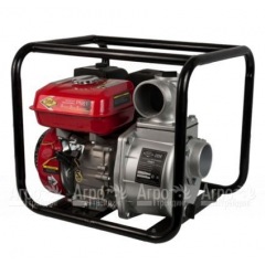 Бензиновая мотопомпа DDE PN81 в Брянске