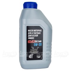 Масло моторное EVOline SAE 5W-30 API SN/CF 1 л для 4-х тактных двигателей в Брянске