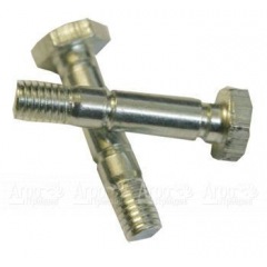 Комплект срезных болтов для снегоуборщиков Patriot 2 шт. в Брянске