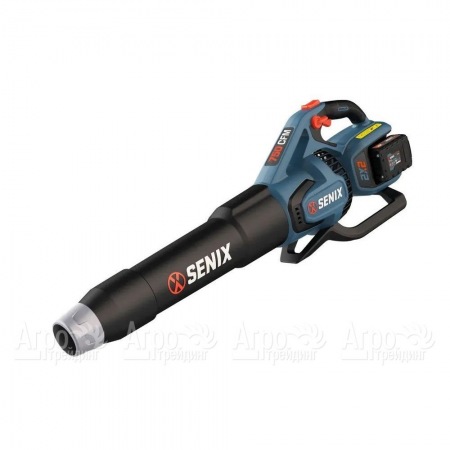 Воздуходувка аккумуляторная Senix BLAX2-M2-EU в Брянске