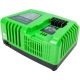 Быстрое зарядное устройство Greenworks G40UC5 в Брянске